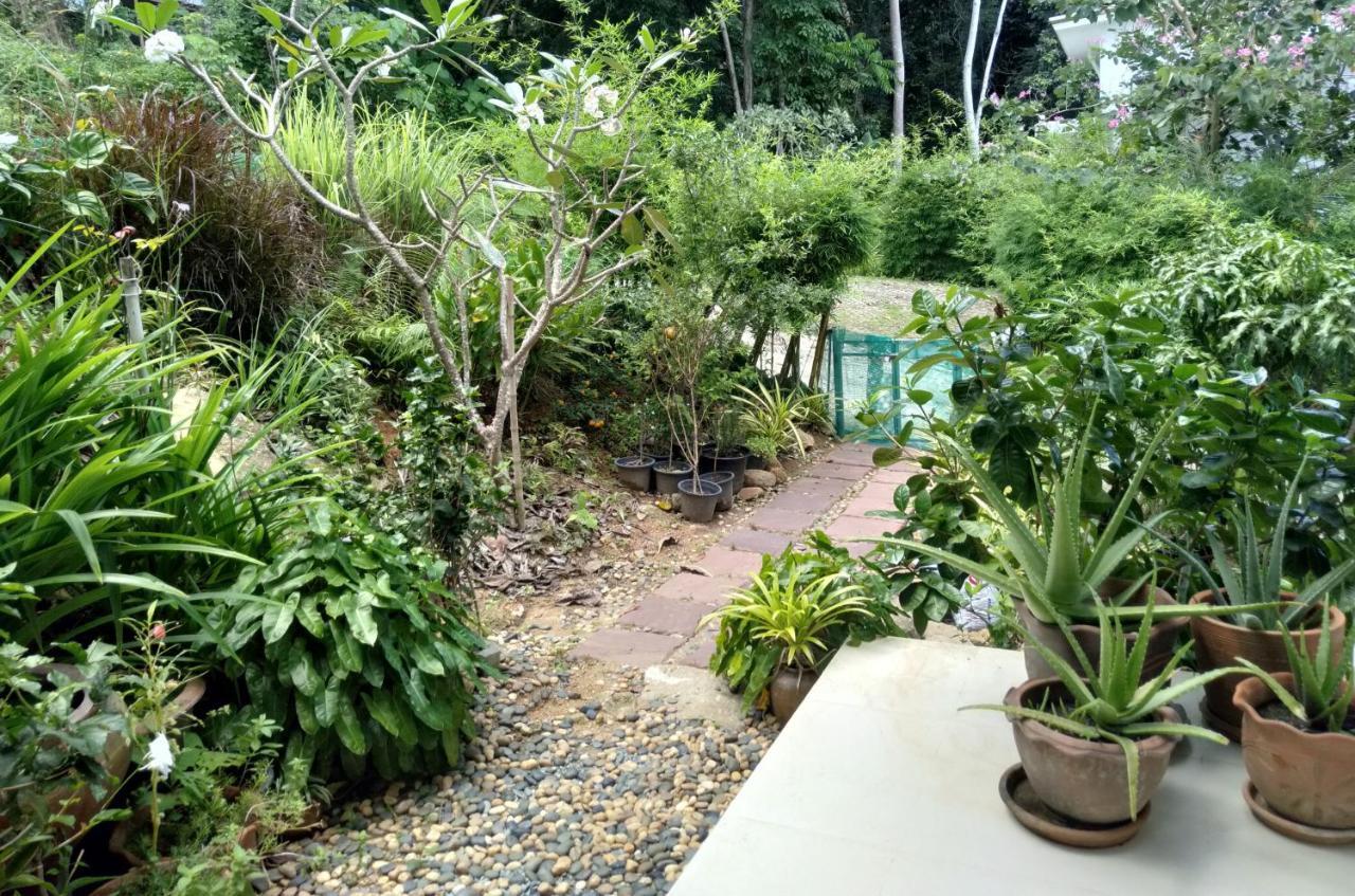 Perfect Sea View Mountain Villa Koh Samui 차웽 외부 사진