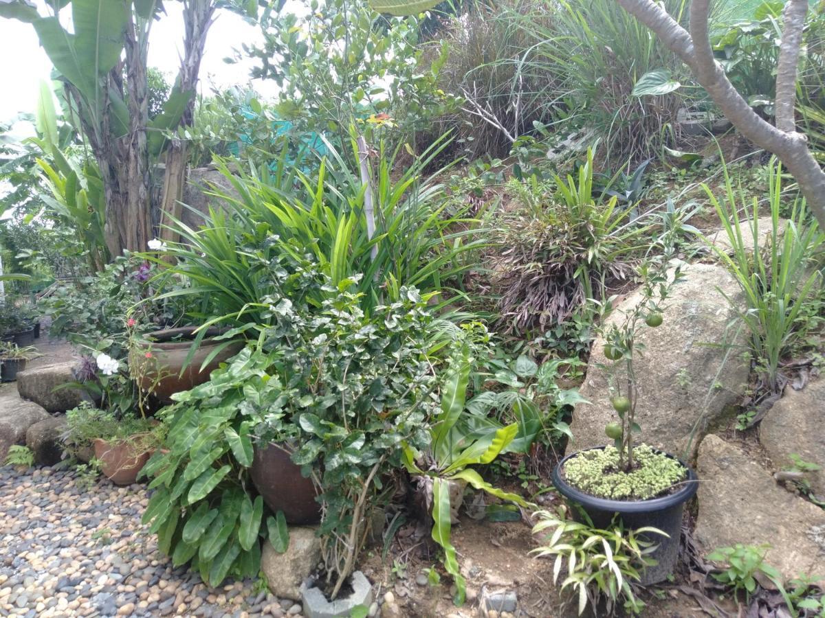 Perfect Sea View Mountain Villa Koh Samui 차웽 외부 사진